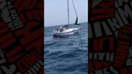 Orche interagiscono con barche a vela in Galizia