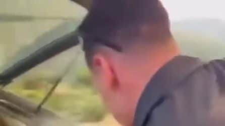 Incendi in Spagna, cane salvato dalle fiamme