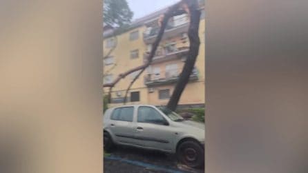 Maltempo, bomba d'acqua su Torre Annunziata