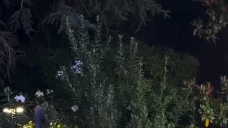 Problema all'abito per Elettra Lamborghini: "Rischiava di uscire tutto di fuori"
