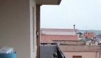 Cani chiusi in balcone al sole con 40 gradi, un vicino: “Cadono feci e urina a secchiate”