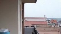 Cani chiusi in balcone al sole con 40 gradi, un vicino: “Cadono feci e urina a secchiate”