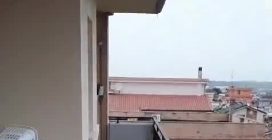 Cani chiusi in balcone al sole con 40 gradi, un vicino: “Cadono feci e urina a secchiate”