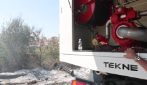 Vasto incendio alla Massimina: brucia un bosco, le fiamme alimentate dal vento