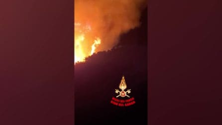 Vasto incendio nel bosco a Tignale, fiamme minacciano residence e case: evacuate 200 persone