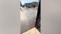 lidl licata2
