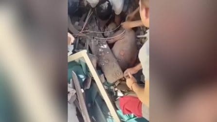 Il video del neonato e della madre estratti vivi dalle macerie dopo il terremoto in Colombia