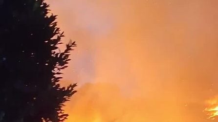 In fiamme il Monte Tuscolo, il fuoco divora la campagna: sulla Roma-Napoli treni in tilt