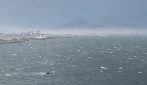 Tempesta di vento sul golfo di Napoli, si alza la sabbia , mare agitato all'improvviso