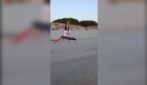 Toglie dalla Caletta di Siniscola gli ombrelloni "segnaposto": "La spiaggia è di tutti"
