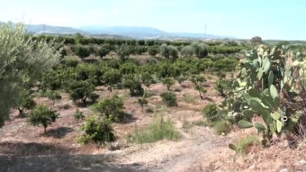 Anziana uccisa a colpi di pietra, fermato il marito: le immagini del luogo del delitto