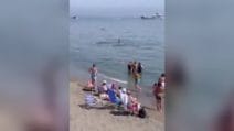 Tonno gigante sorprende i bagnanti su una spiaggia di Marbella