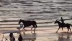 Il video della caduta di Belén Rodriguez da cavallo
