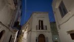 Migliaia di rondini invadono il centro storico di Gallipoli al tramonto