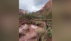Alluvione nel Grand Canyon travolge gli escursionisti: 15 dispersi e un morto