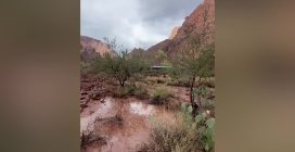 Alluvione nel Grand Canyon travolge gli escursionisti: 15 dispersi e un morto