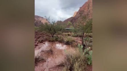 Alluvione nel Grand Canyon travolge gli escursionisti: 15 dispersi e un morto