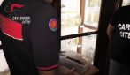 Serpente a bordo di un volo Lampedusa-Palermo, il rettile recuperato dai Carabinieri: il video