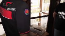 Serpente a bordo di un volo Lampedusa-Palermo, il rettile recuperato dai Carabinieri: il video