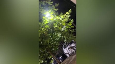 L'attrice bengalese Azmeri Haque Badhon aggredita da alcuni connazionali al Festival di Venezia