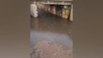 Nubifragio e grandine a Perugia, auto sommersa dall'acqua a Città di Castello