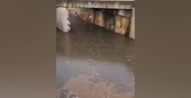 Nubifragio e grandine a Perugia, auto sommersa dall'acqua a Città di Castello
