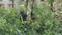 Albero cade in piazza Risorgimento a Milano, tre persone contuse