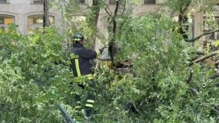 Albero cade in piazza Risorgimento a Milano, tre persone contuse