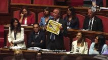 Senato approva la riforma elettorale, protestano le opposizioni: "Legge truffa"