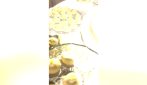 Matrimonio Ilary Blasi e Bastian Muller, il momento della torta e del buffet di dolci