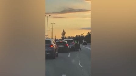 Cinque criminali travestiti da poliziotti rapiscono un uomo su un'autostrada spagnola