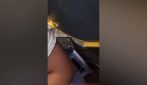 "Faccio salire solo gli italiani": 14enne respinta dall'autista del bus a Cuneo