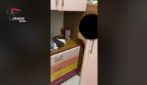Latitante dei Mazzarella trovato nell'armadio a Forcella, esce e stringe la mano ai carabinieri