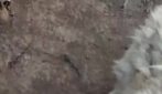 WhatsApp Video 2026-10-02 at 22.00.38