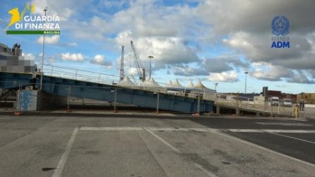 animali esotici sequestrati a Pozzallo