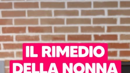DECOTTO DI MELA: il rimedio naturale della nonna!