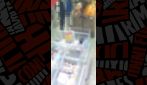 Modena, 10 studenti vandalizzano il supermercato