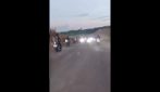 Corsa clandestina a Palagonia, cinque denunce e un cavallo sequestrato