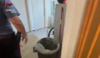 Torino, scoperto dormitorio abusivo in un ristorante sushi