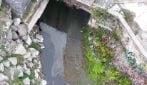 Enorme macchia scura e oleosa nel mare del Porto di Pozzuoli, è allarme ambientale