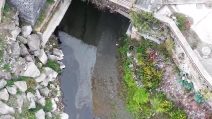 Enorme macchia scura e oleosa nel mare del Porto di Pozzuoli, è allarme ambientale